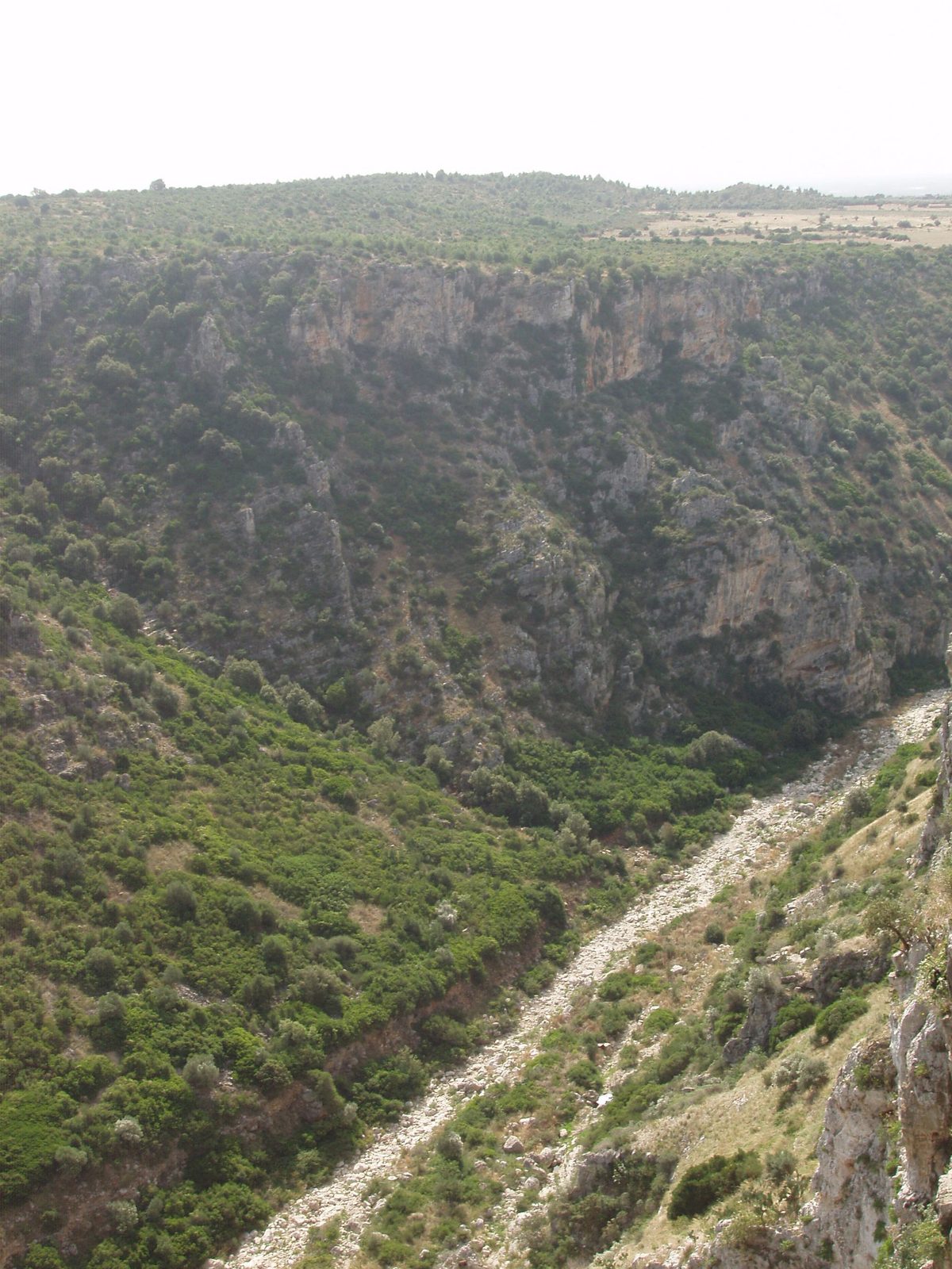 Le pareti verdi della Gravina Grande di Castellaneta