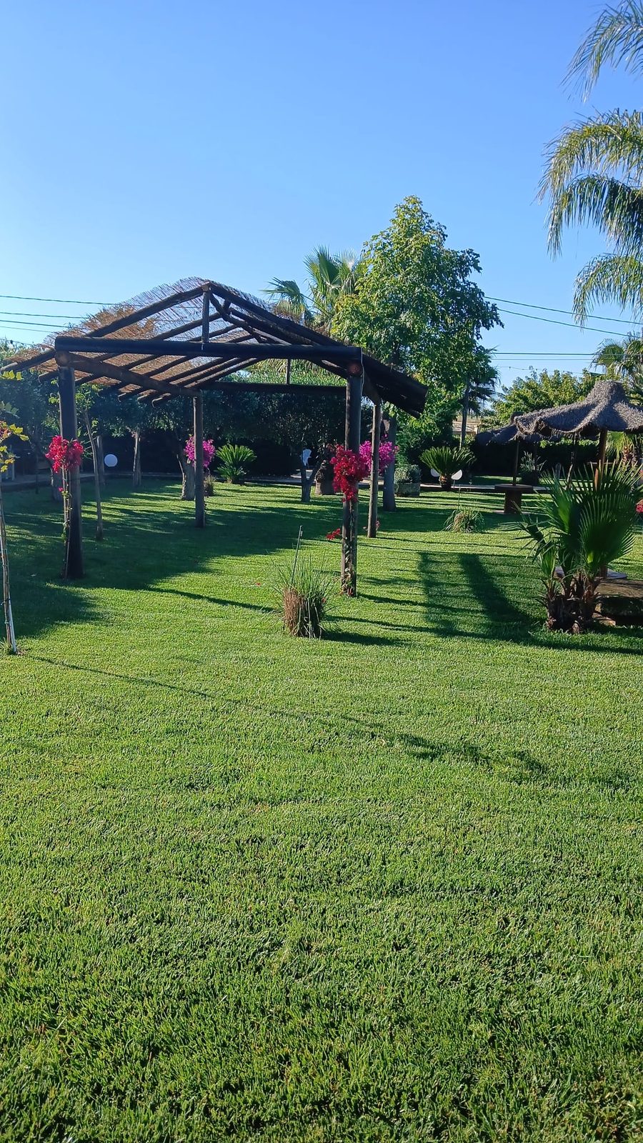 Relais San Giovanni · il grande prato del giardino, Castellaneta (Taranto)