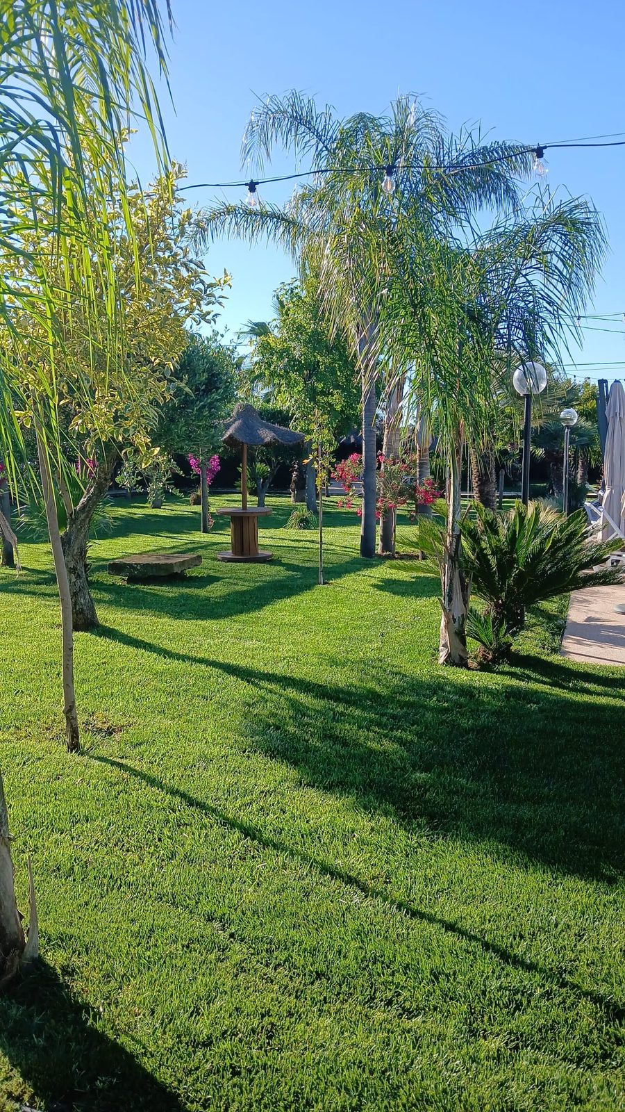 Relais San Giovanni · il prato e le palme del giardino, Castellaneta (Taranto)
