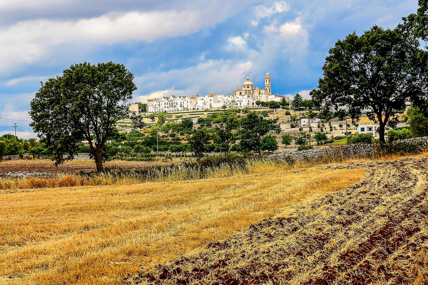 Il panorama di Locorotondo tra i campi della Valle d'Itria